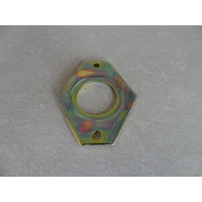 RETAINING PLATE (#12700123)