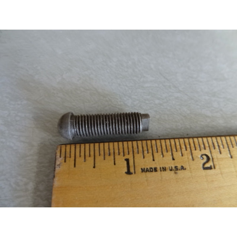 SCREW (#12034001)