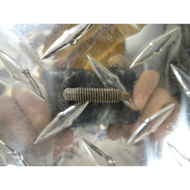 SCREW (#32034000)