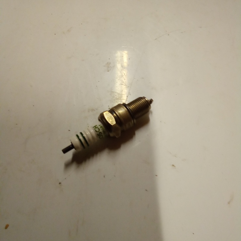 SP PLUG (#14717050)