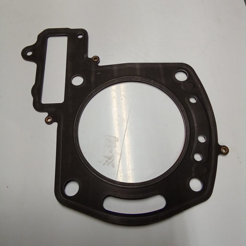 CYLINDER HEAD GASKET (#976311)