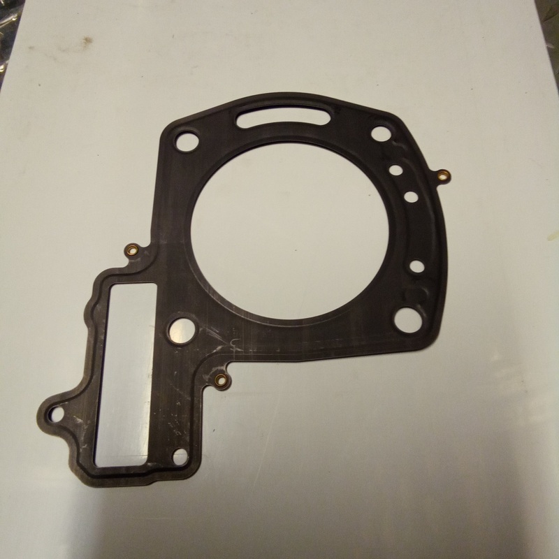 Gasket (#874621)