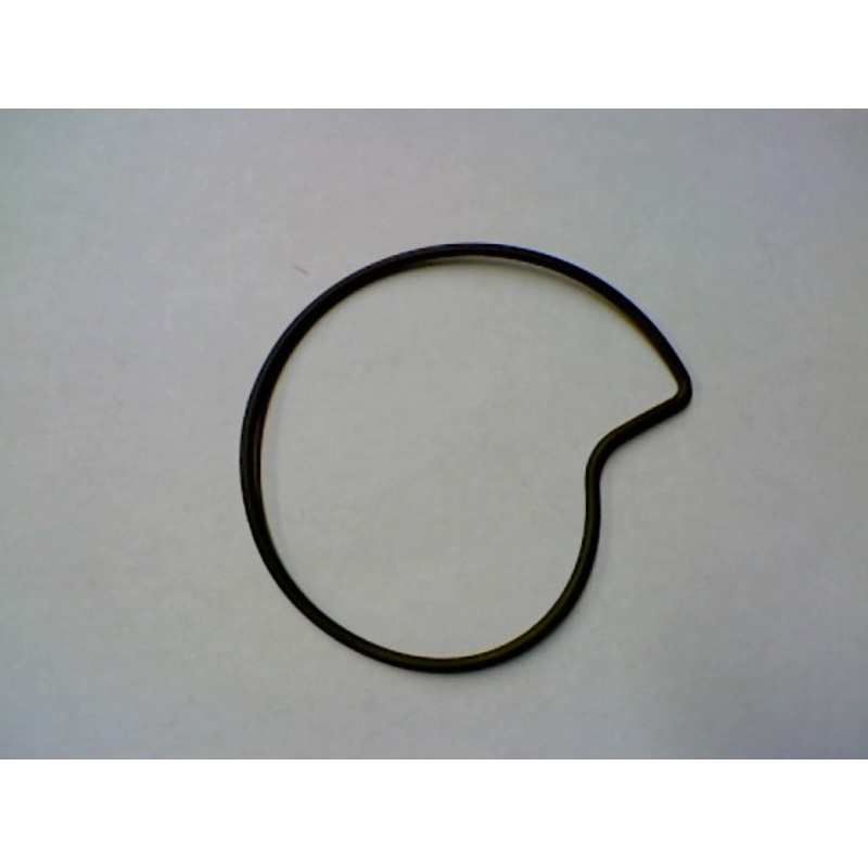 WATER PUMP LEADER O-RING (#485080)