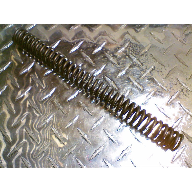 TOP FORK SPRING (#29526960)