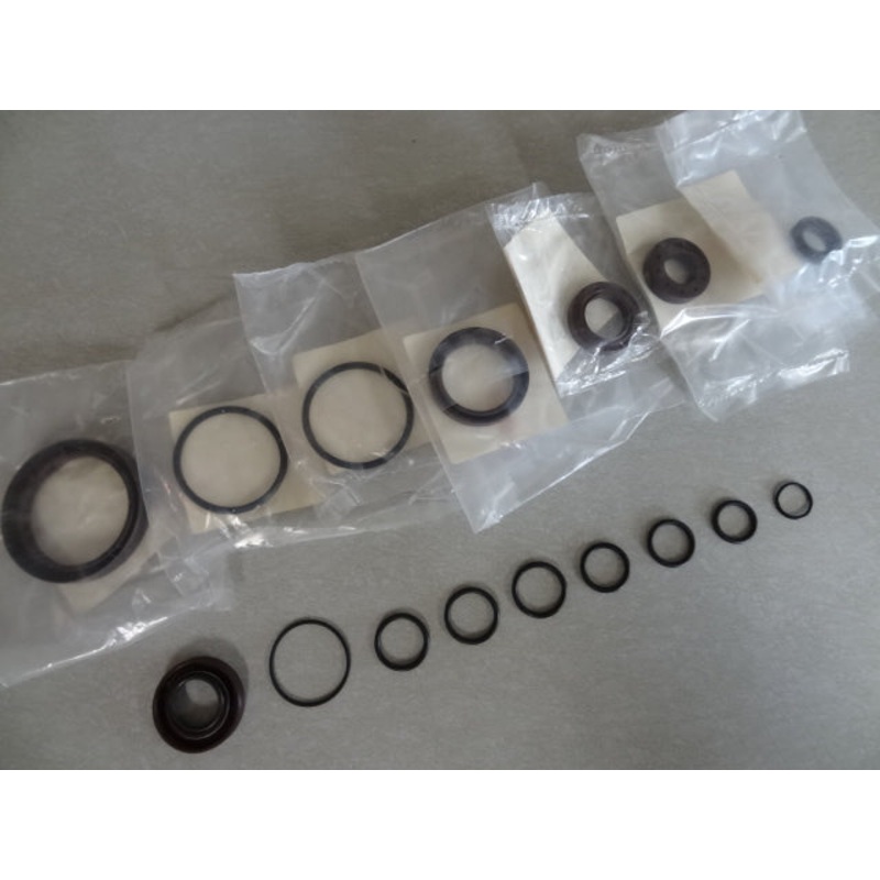 ENGINE OIL SEAL KIT (#05999530)