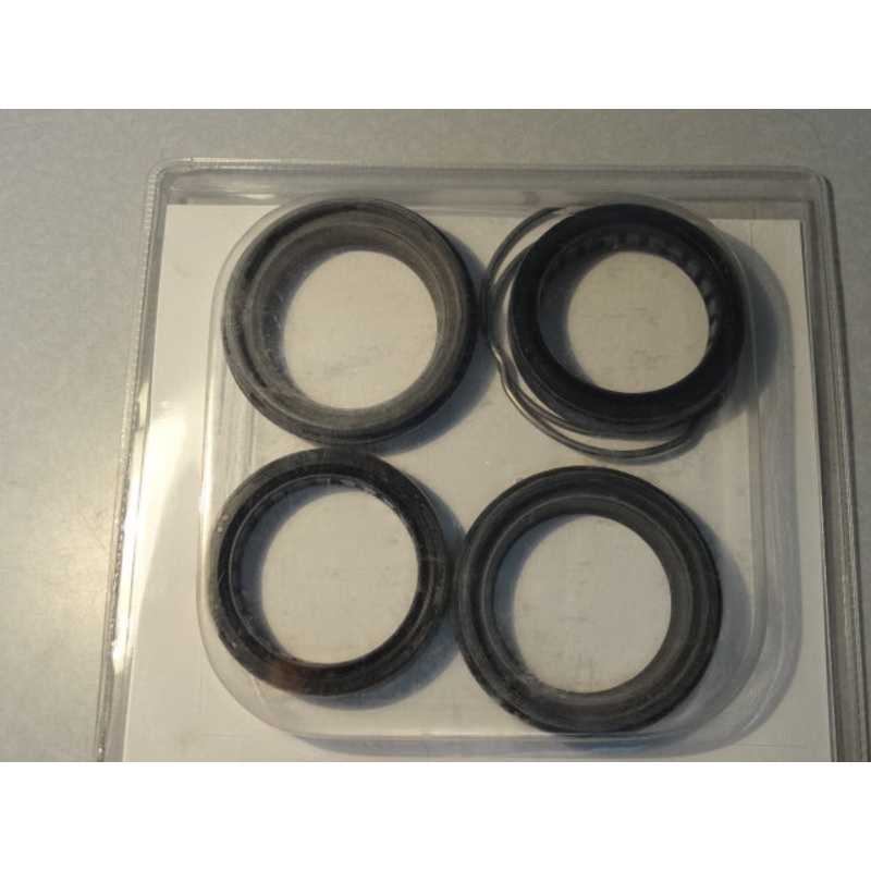 FORK SEAL AND DUST COVER KIT (#32530610)
