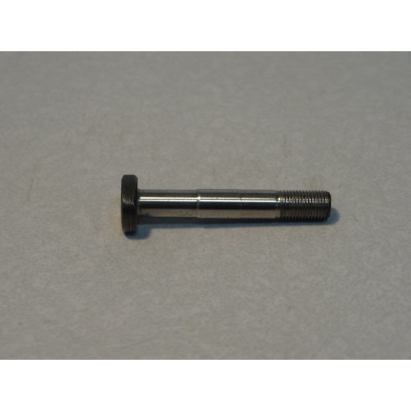 SCREW (#19062220)