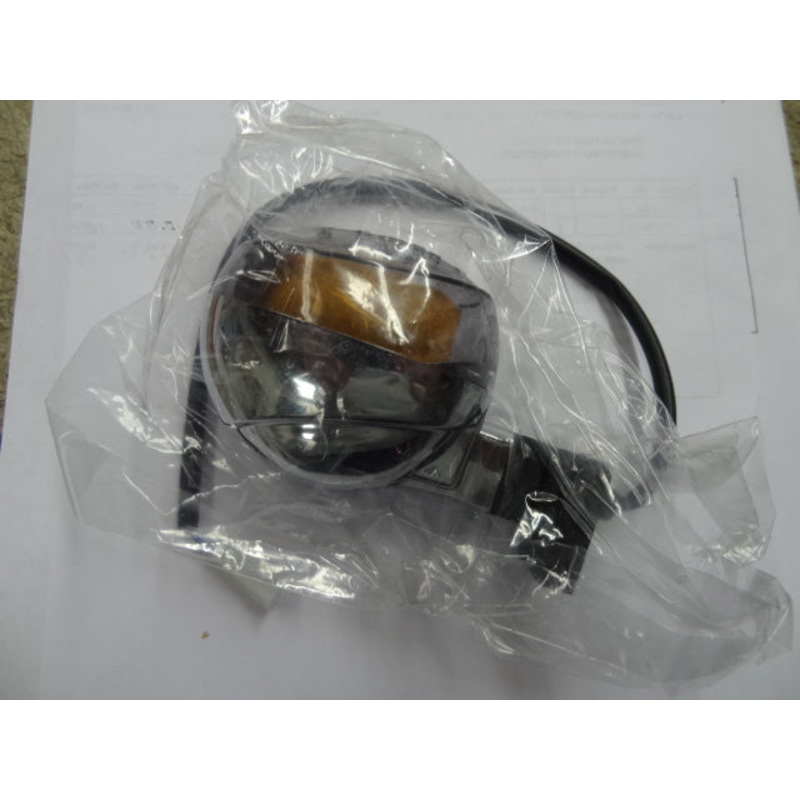 TURN SIGNAL (#06751601)