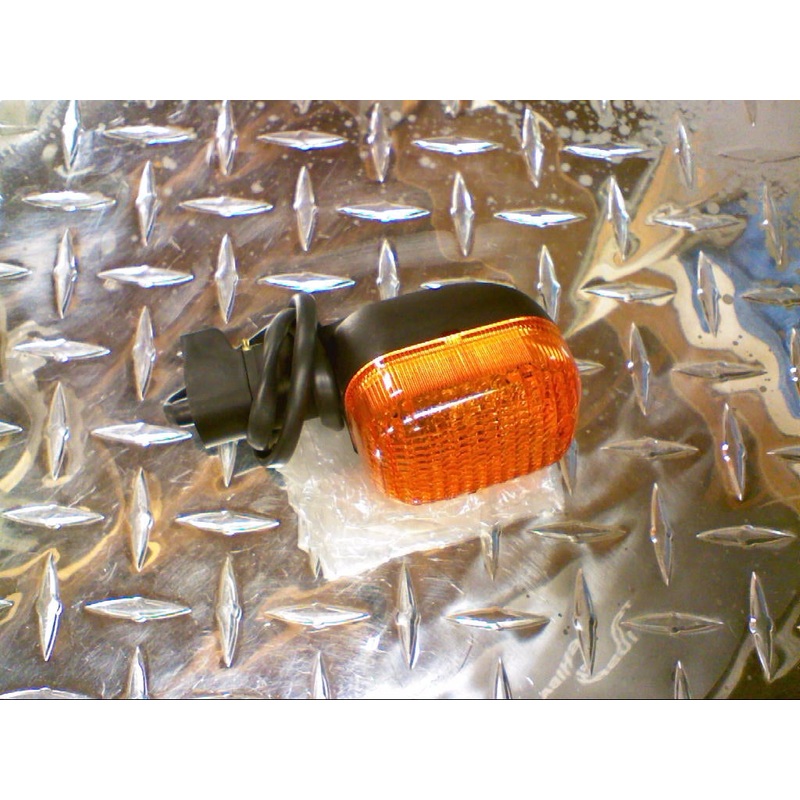 TURN SIGNAL (#30750600)