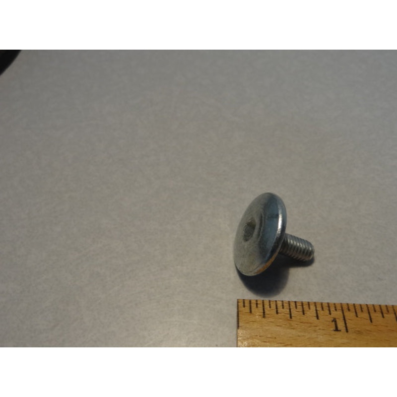 SPECIAL SCREW (#976591)