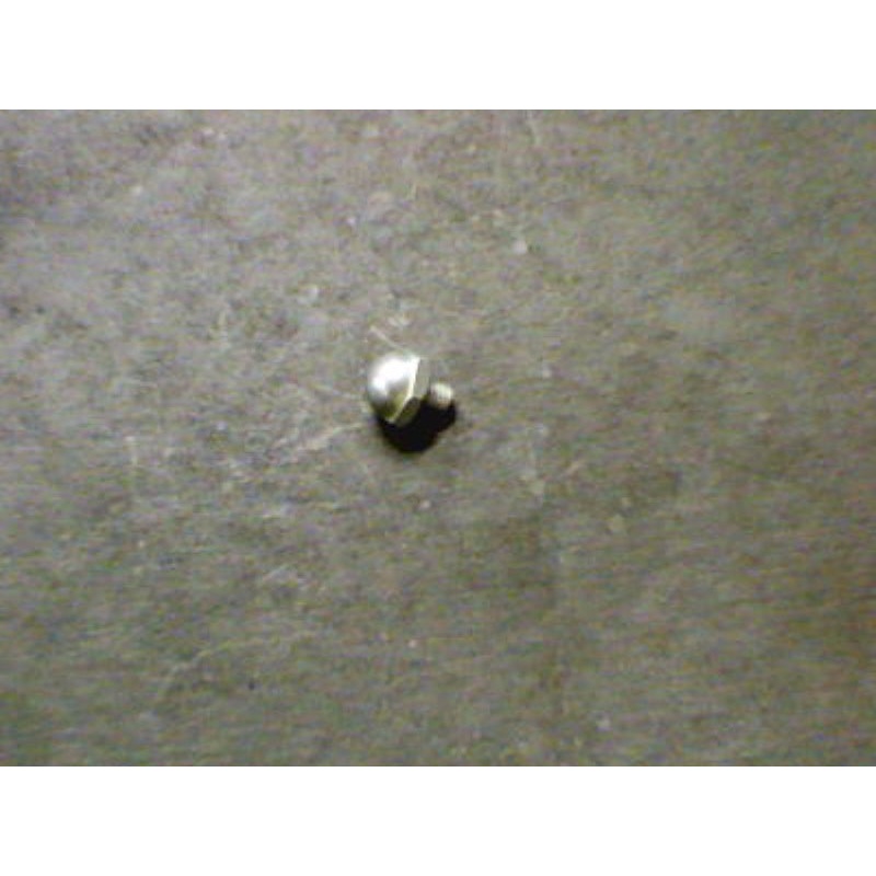 FOOTREST PIN (#30441005)