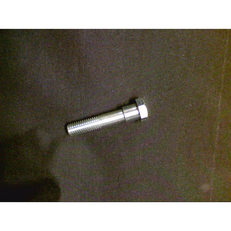 BOLT (#29442250)