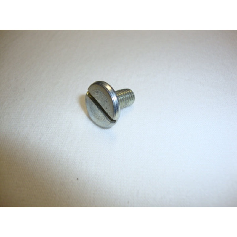 SCREW(#28576047)