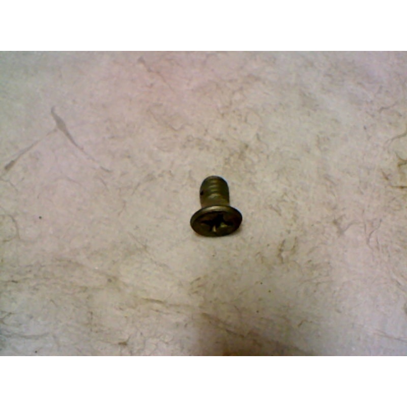SCREW (#25730758)
