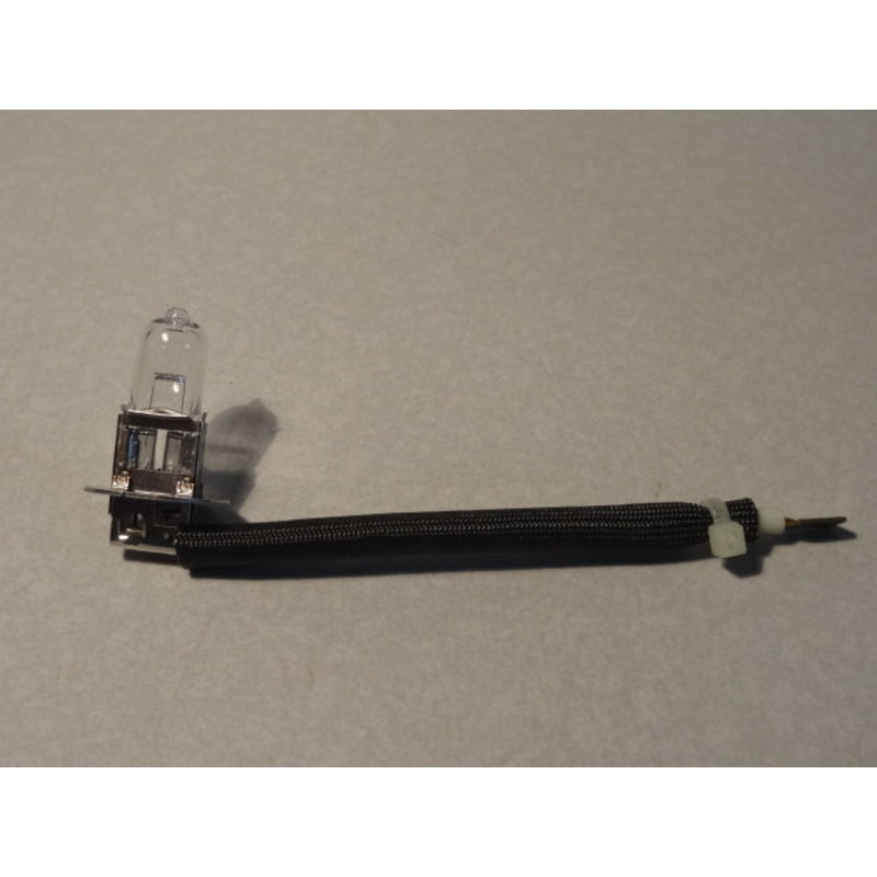 BULB & HARNESS (#981082)