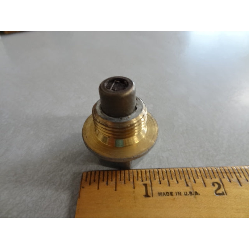 DRAIN PLUG MAGNETIC (#12003702)