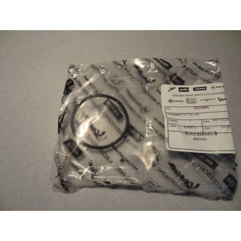 Gasket ring (#880965)