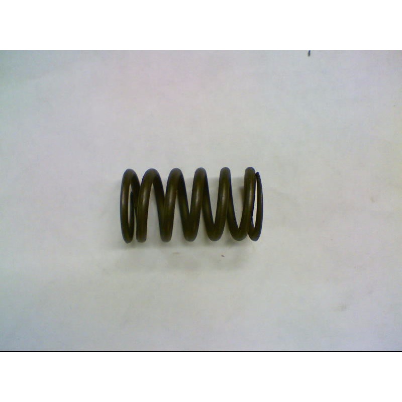INNER SPRING (#30037601)