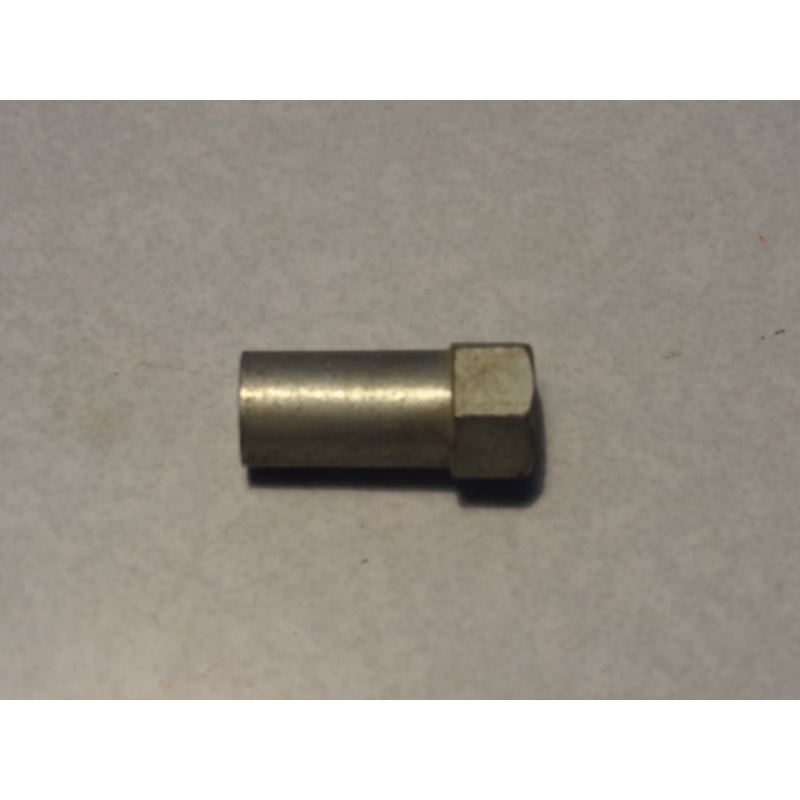 NUT (#55500700)