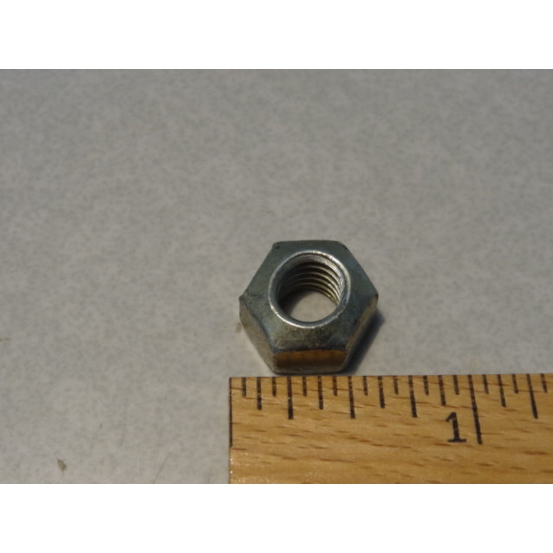 NUT (#92630508)