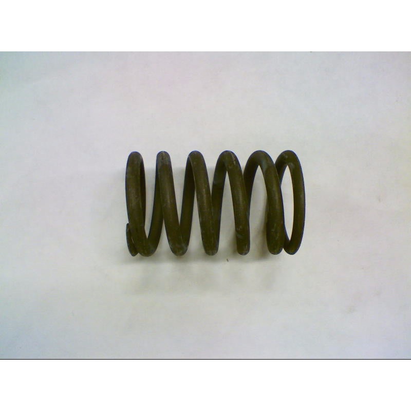 OUTER SPRING (#30037501)