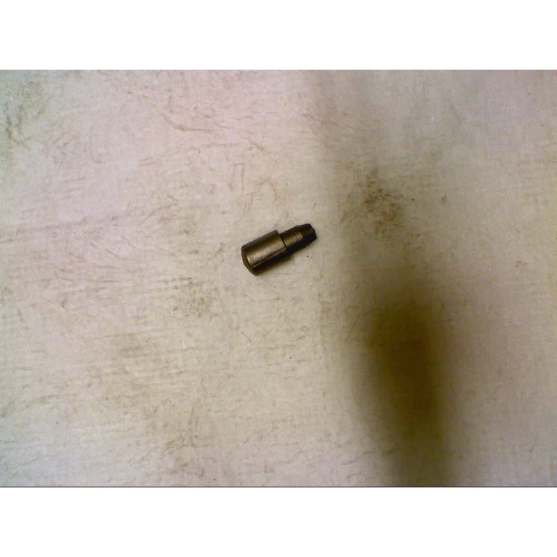 PAWL (#26267200)
